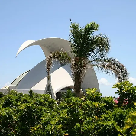 Sunny Views Icod De Los Vinos